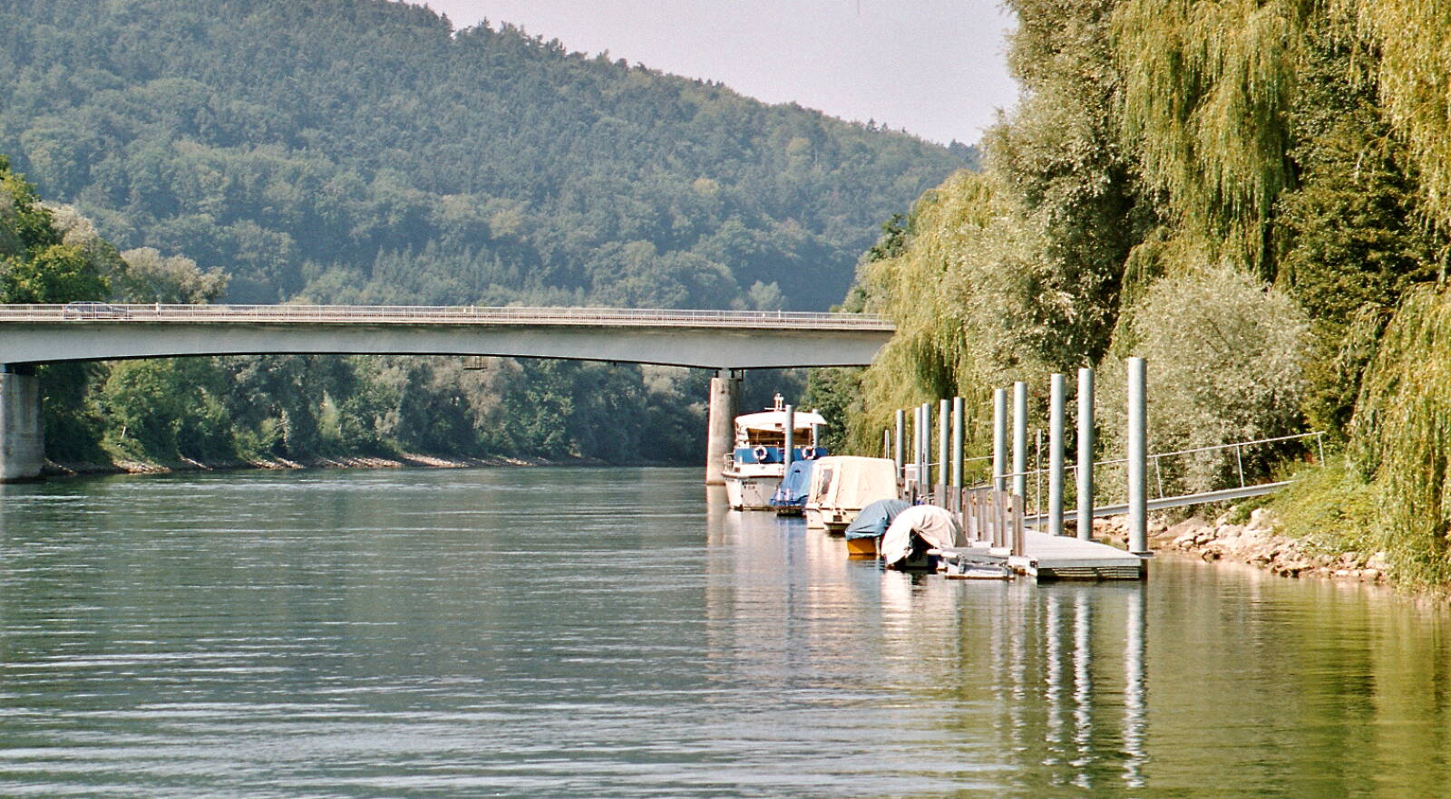 AmWald - Neubauprojekt Umgebung, Brügg, Aare, Natur, UrbanCasa